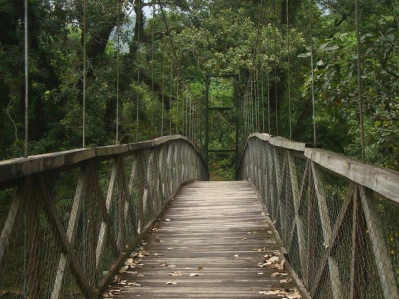 Hospedaje En El Lago San Pedro Sula Kültér fotó