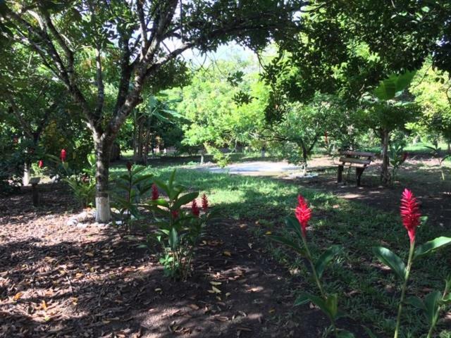 Hospedaje En El Lago San Pedro Sula Kültér fotó