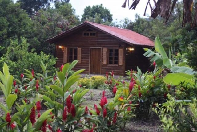 Hospedaje En El Lago San Pedro Sula Kültér fotó